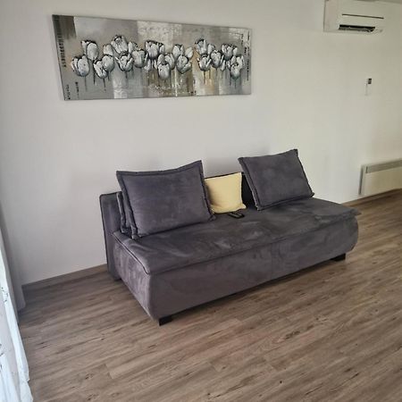 Family Apartment Moravske-Toplice Ngoại thất bức ảnh