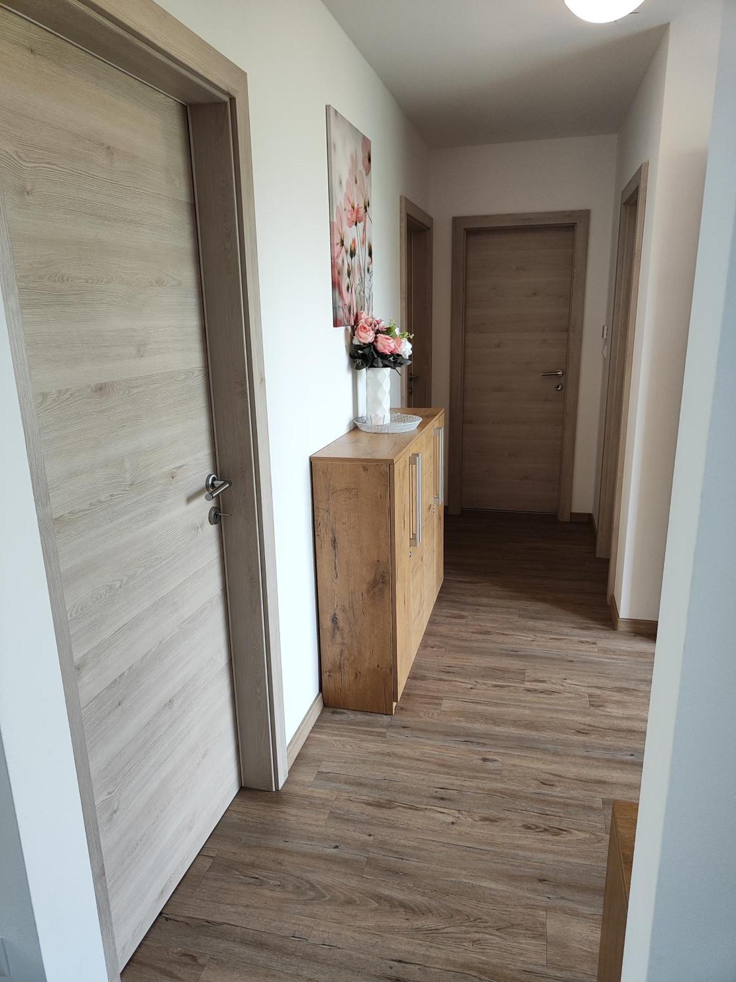Family Apartment Moravske-Toplice Ngoại thất bức ảnh