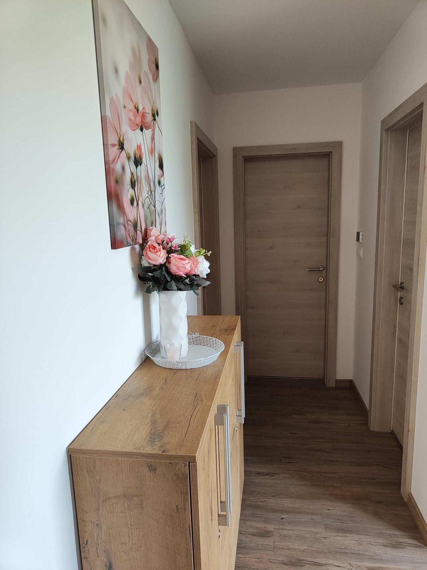Family Apartment Moravske-Toplice Ngoại thất bức ảnh