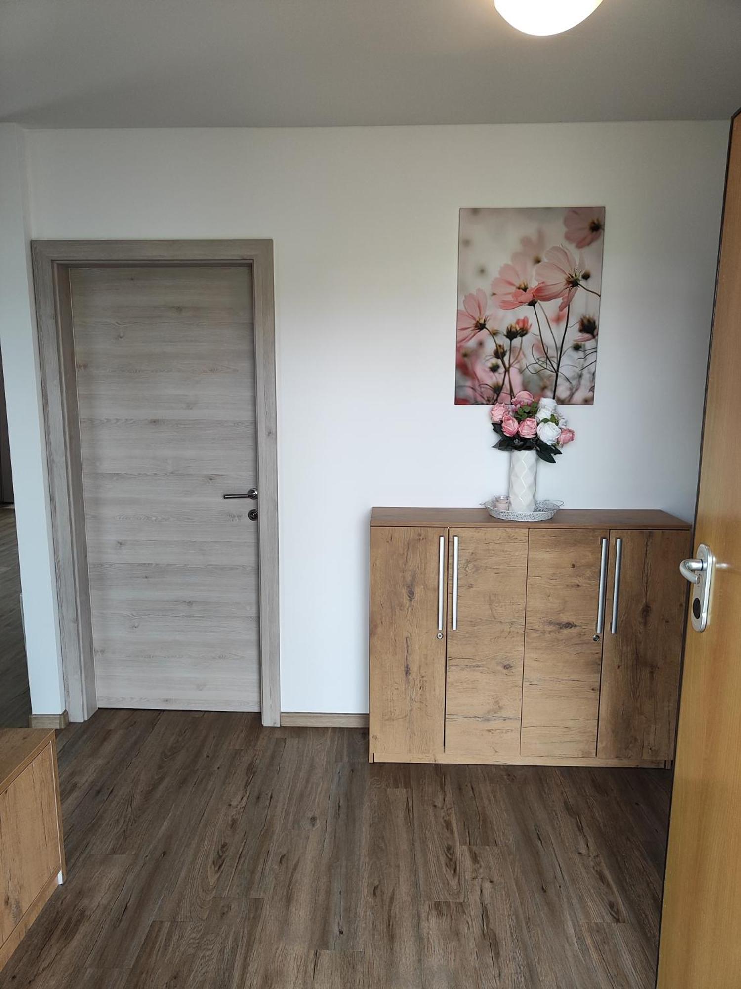 Family Apartment Moravske-Toplice Ngoại thất bức ảnh